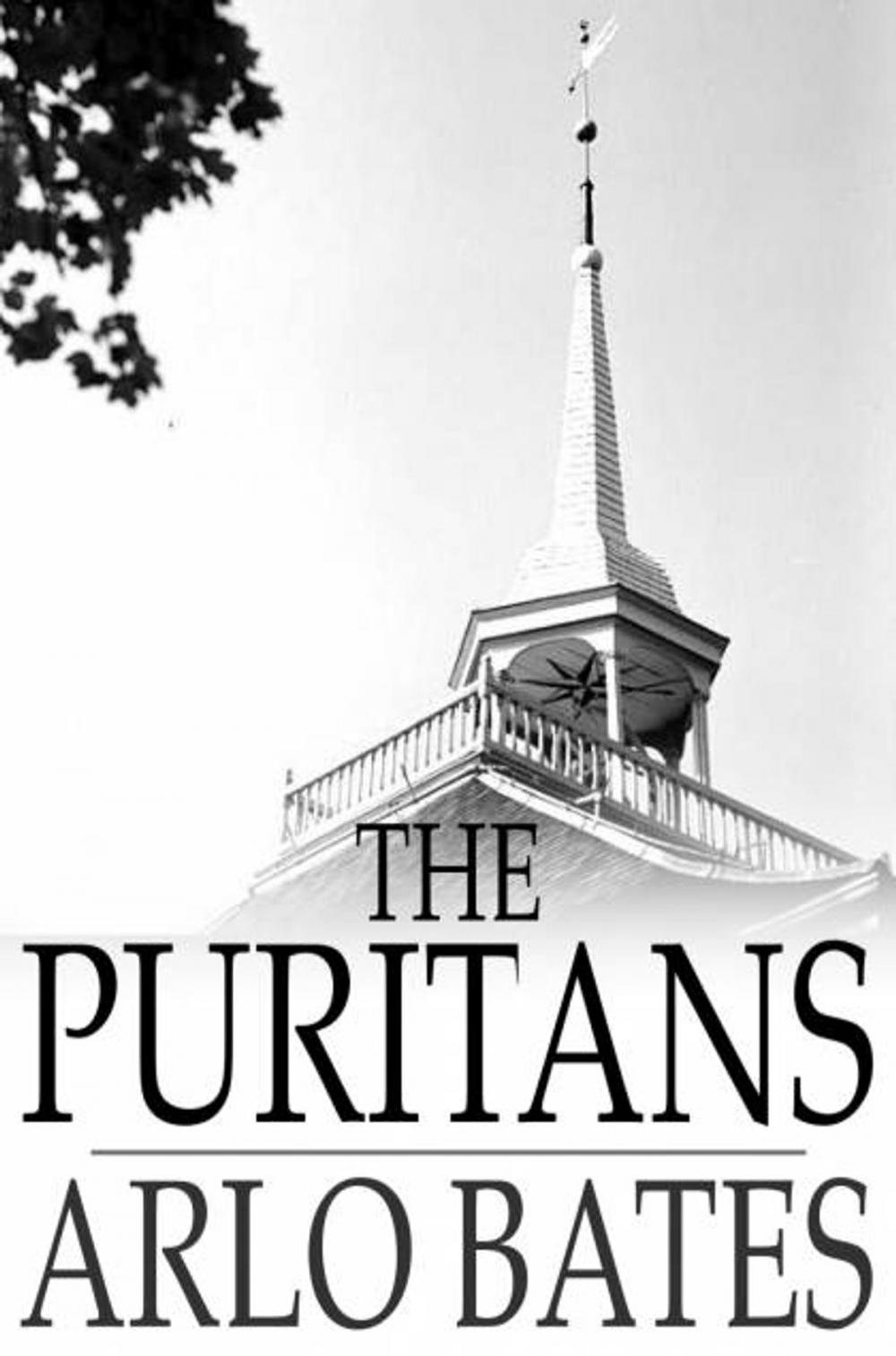 Big bigCover of The Puritans