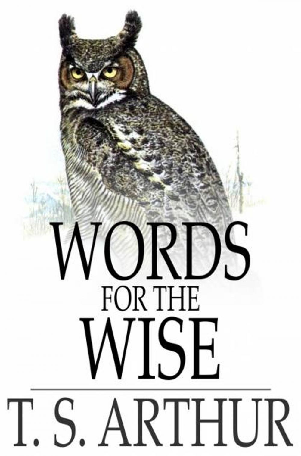 Big bigCover of Words for the Wise