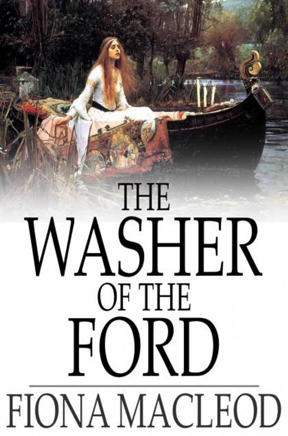 Big bigCover of The Washer of the Ford