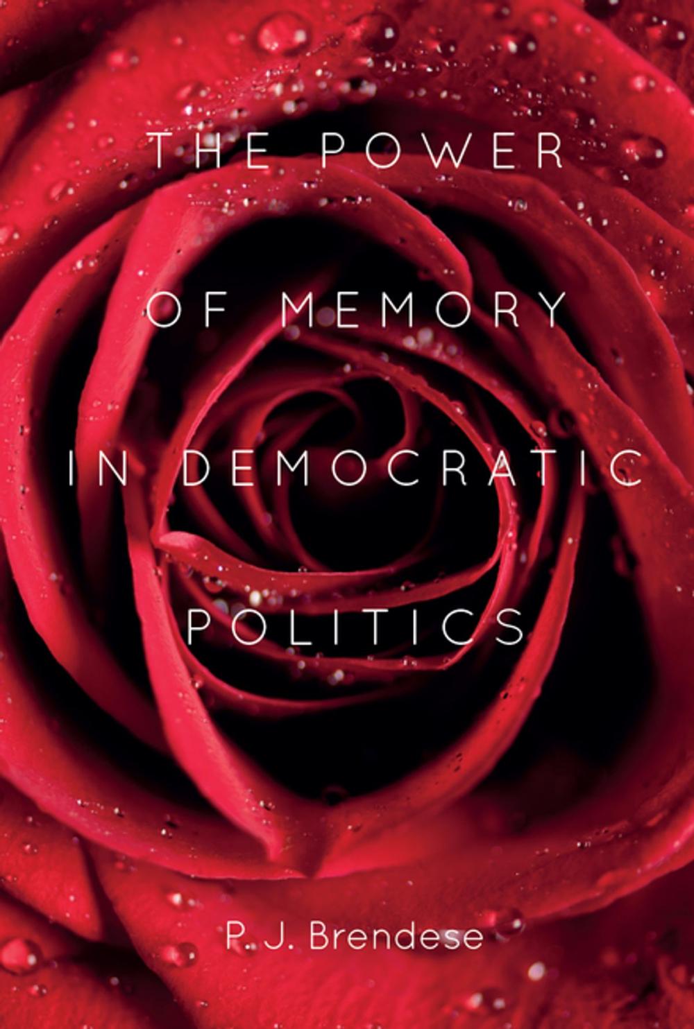 Big bigCover of The Power of Memory in Democratic Politics