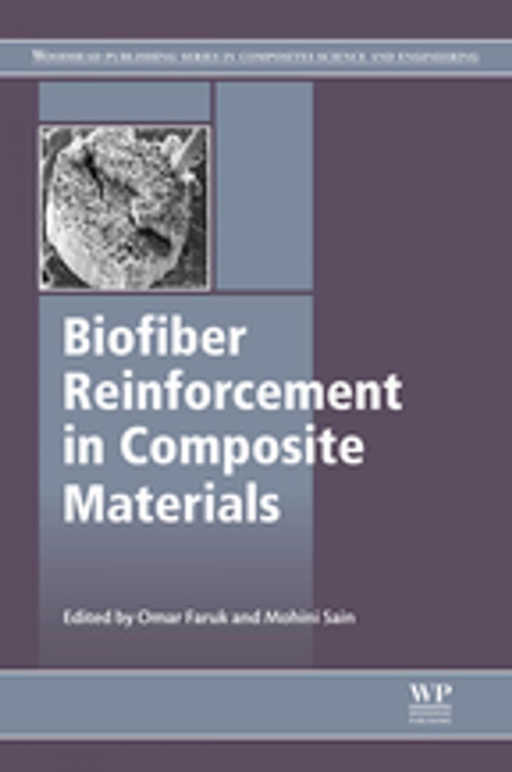 Big bigCover of Biofiber Reinforcements in Composite Materials