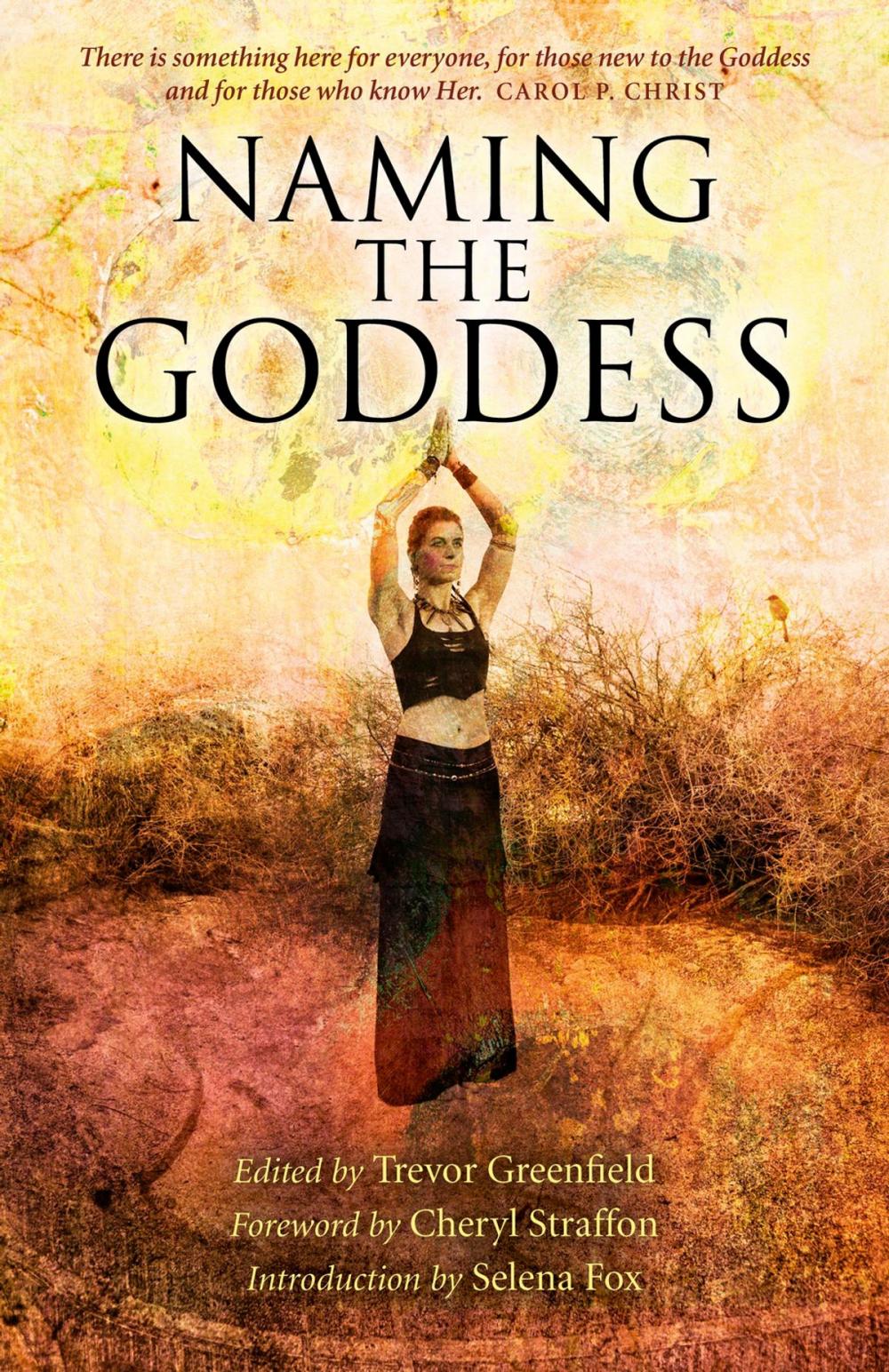 Big bigCover of Naming the Goddess