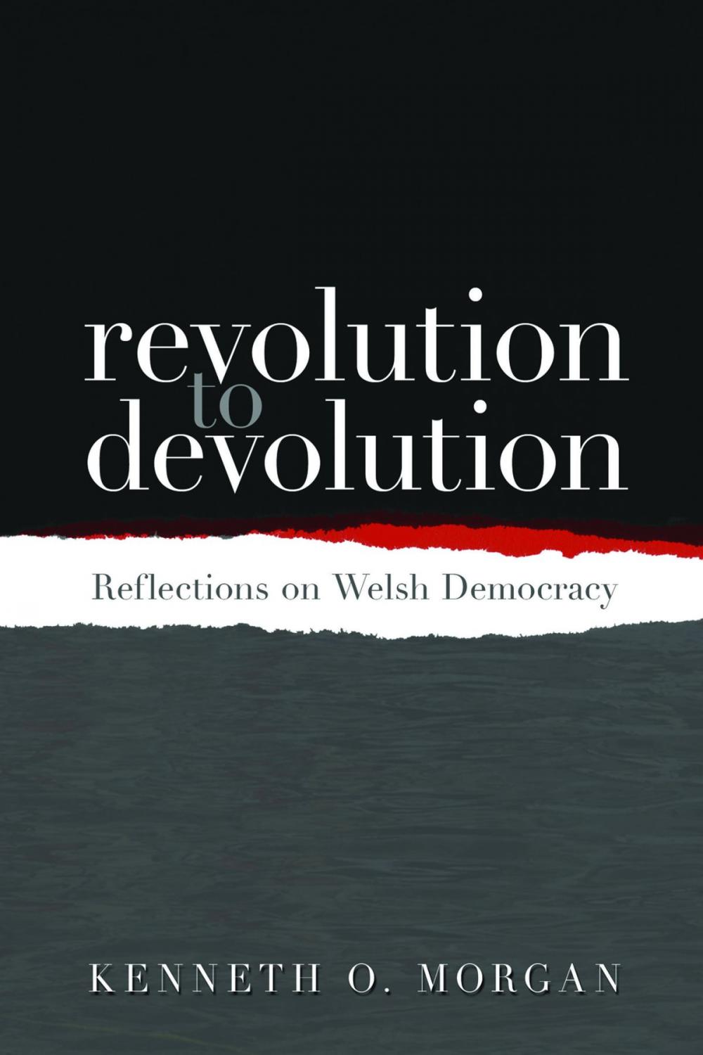 Big bigCover of Revolution to Devolution