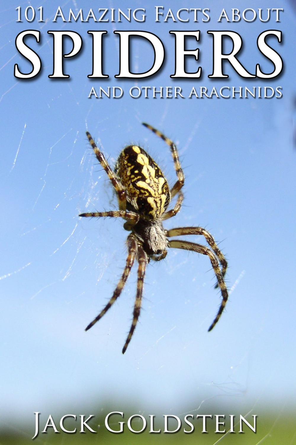 Big bigCover of 101 Amazing Facts about Spiders