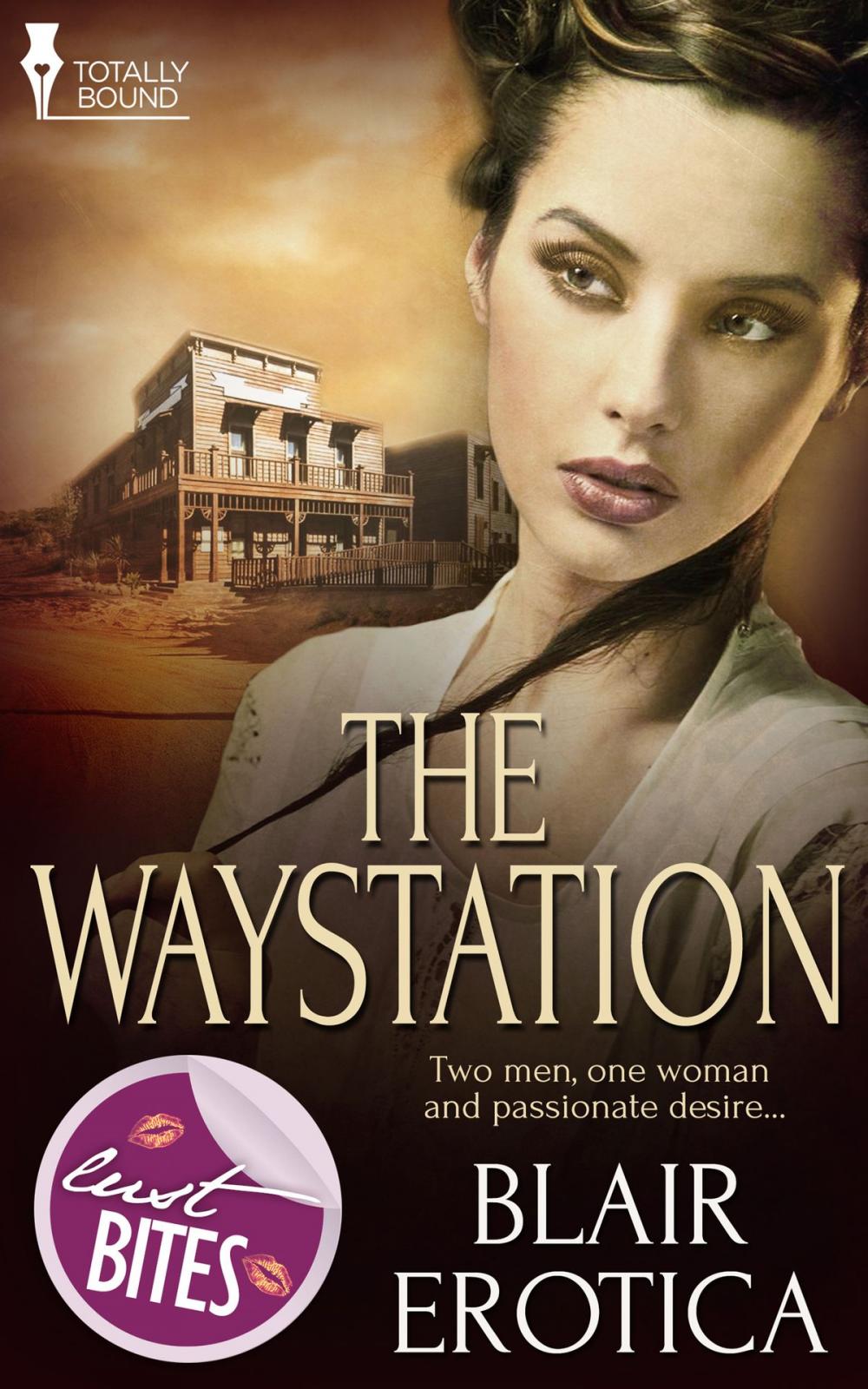 Big bigCover of The Waystation