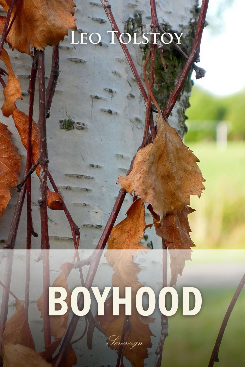 Big bigCover of Boyhood