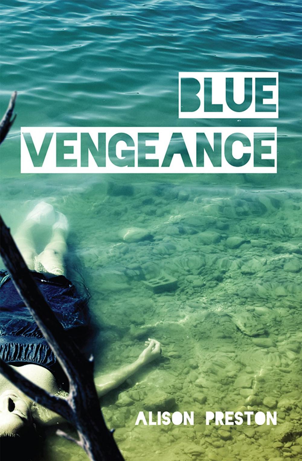 Big bigCover of Blue Vengeance