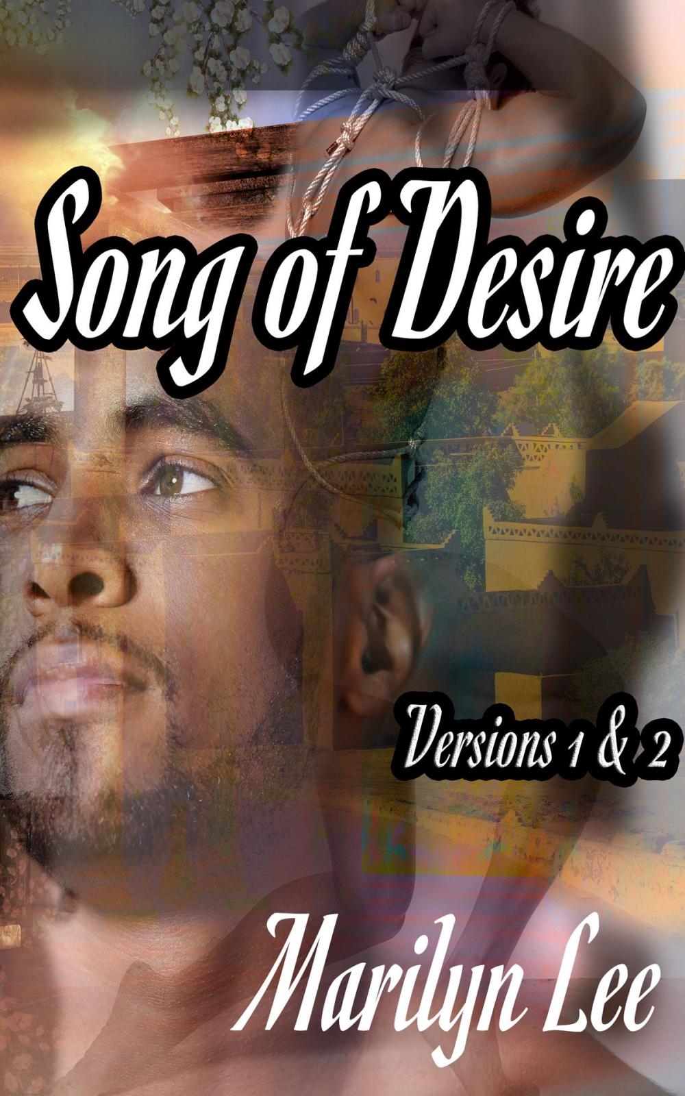 Big bigCover of Song of Desire