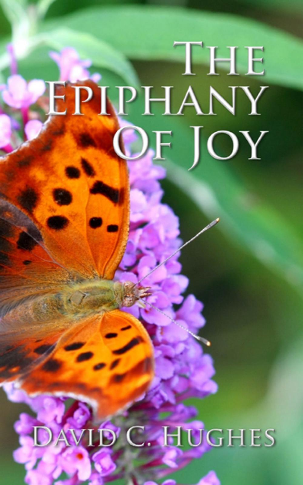 Big bigCover of The Epiphany of Joy