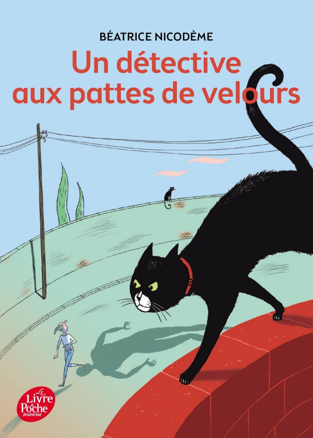 Big bigCover of Un détective aux pattes de velours