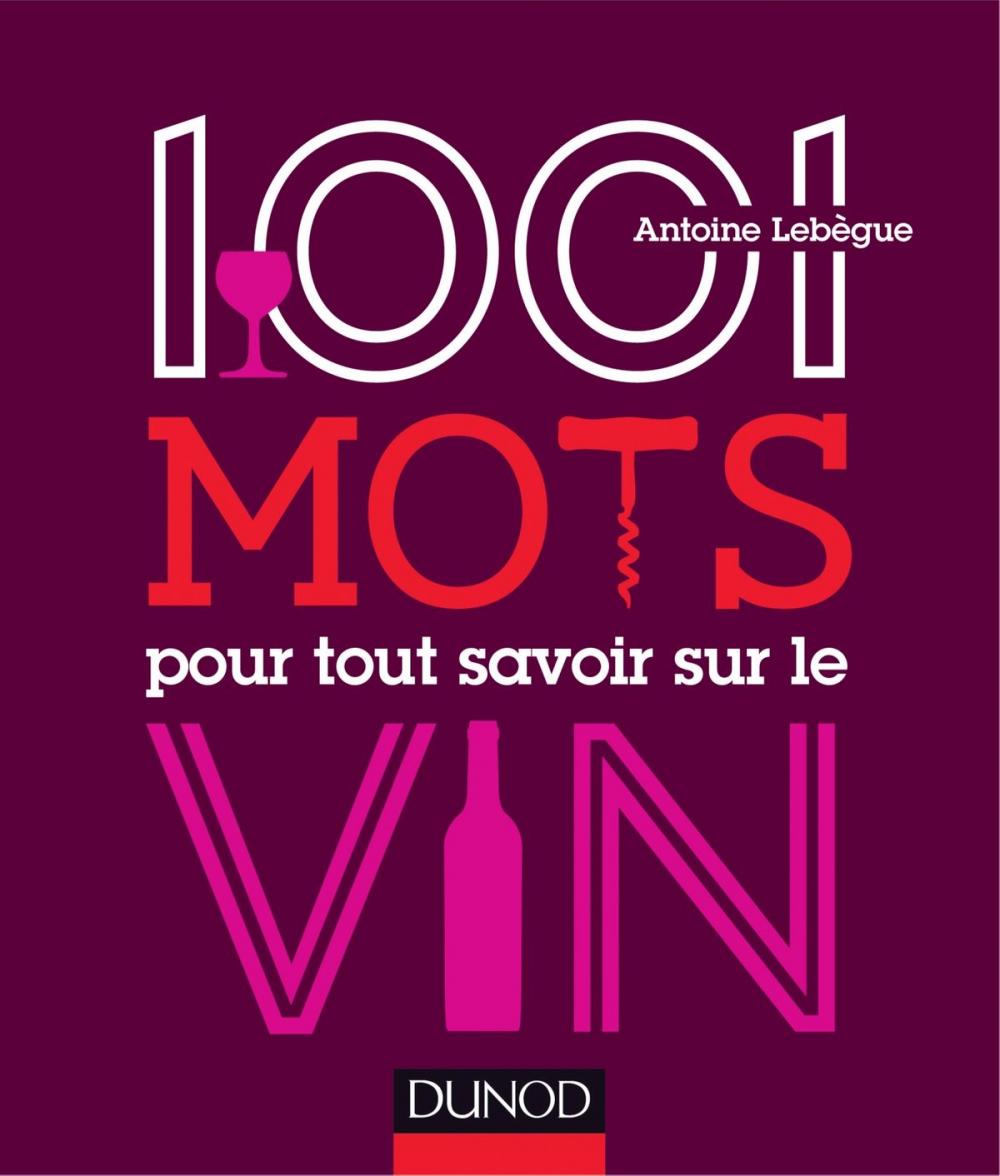 Big bigCover of 1001 mots pour tout savoir sur le vin