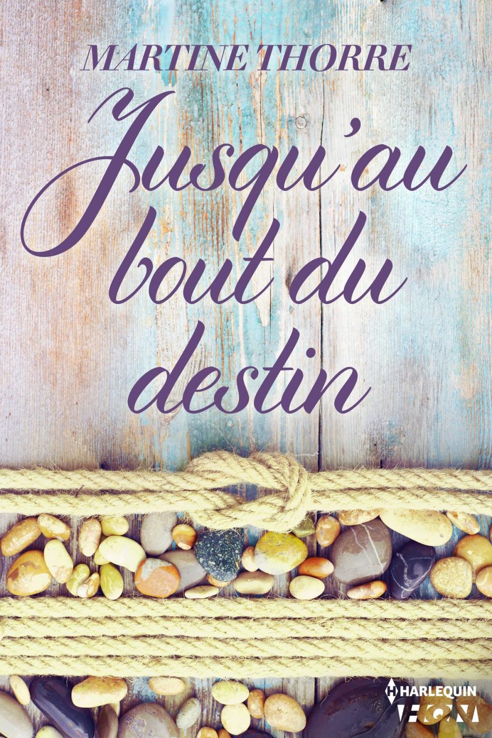 Big bigCover of Jusqu'au bout du destin