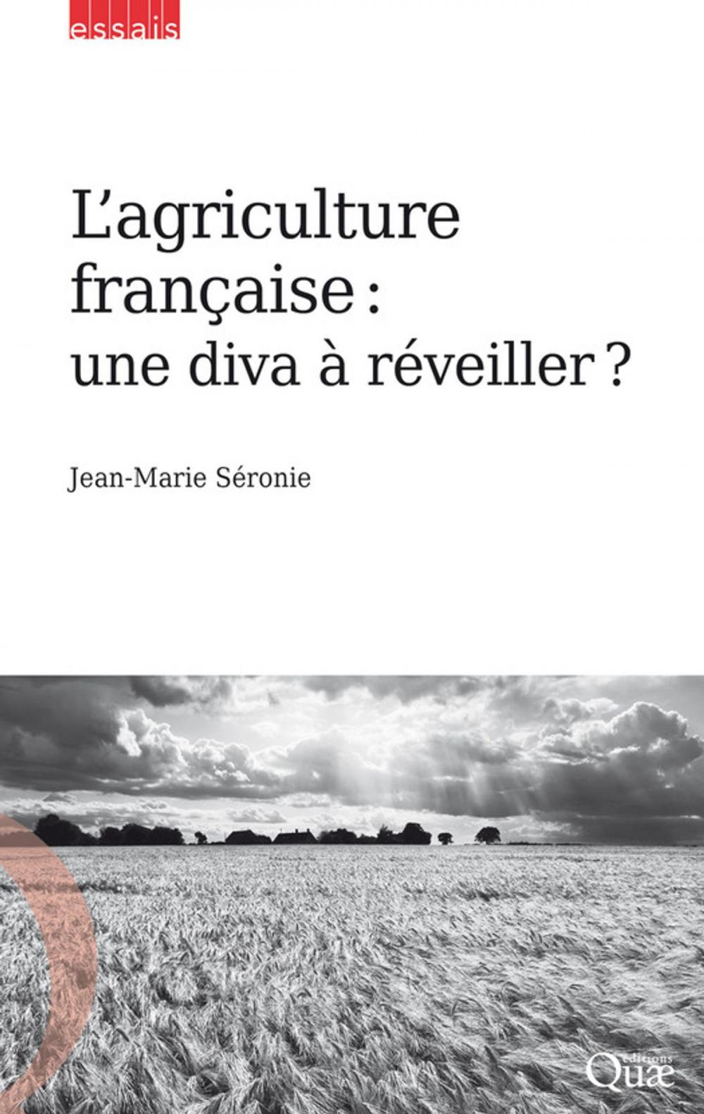 Big bigCover of L'agriculture française : une diva à réveiller ?