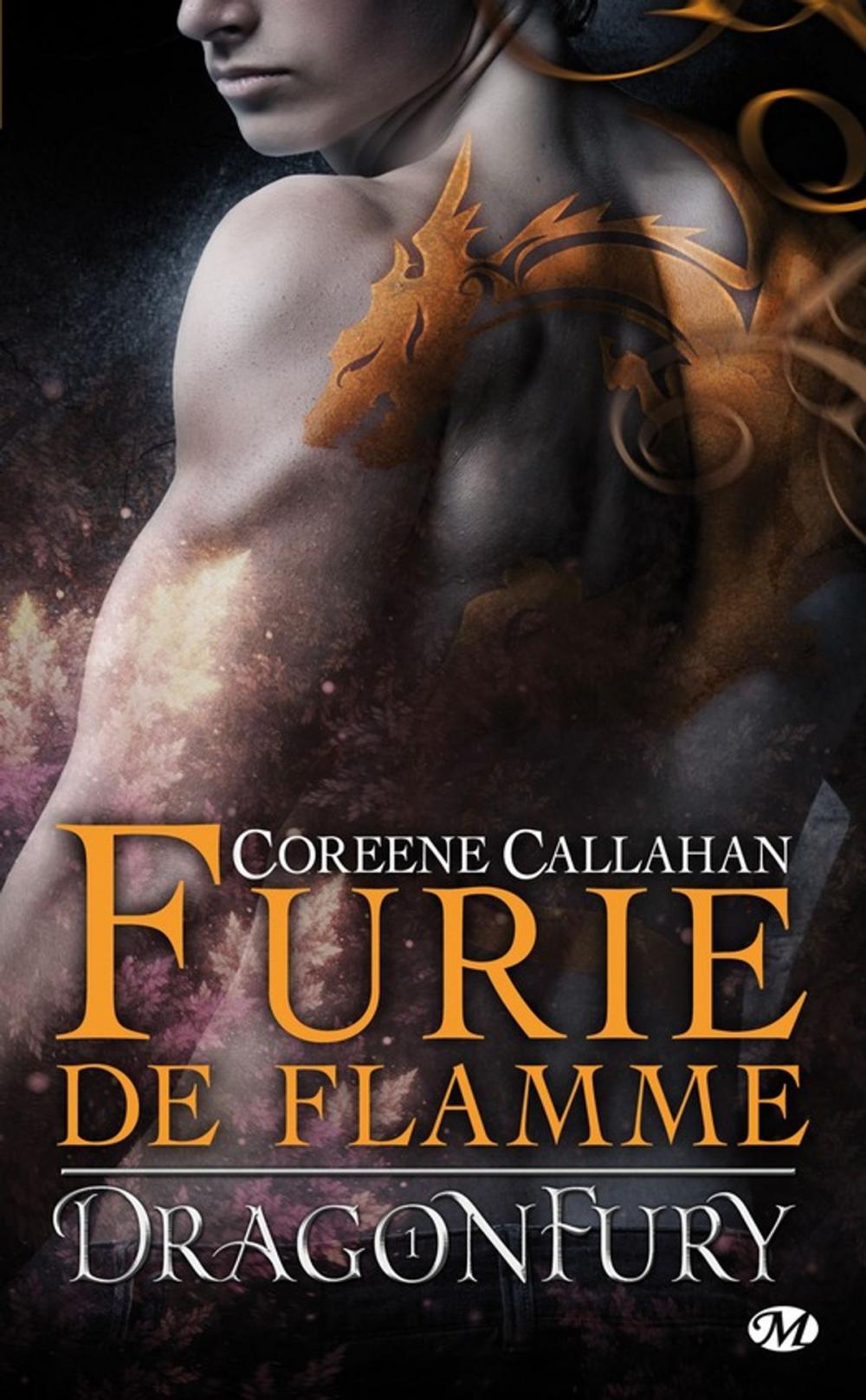 Big bigCover of Furie de flamme