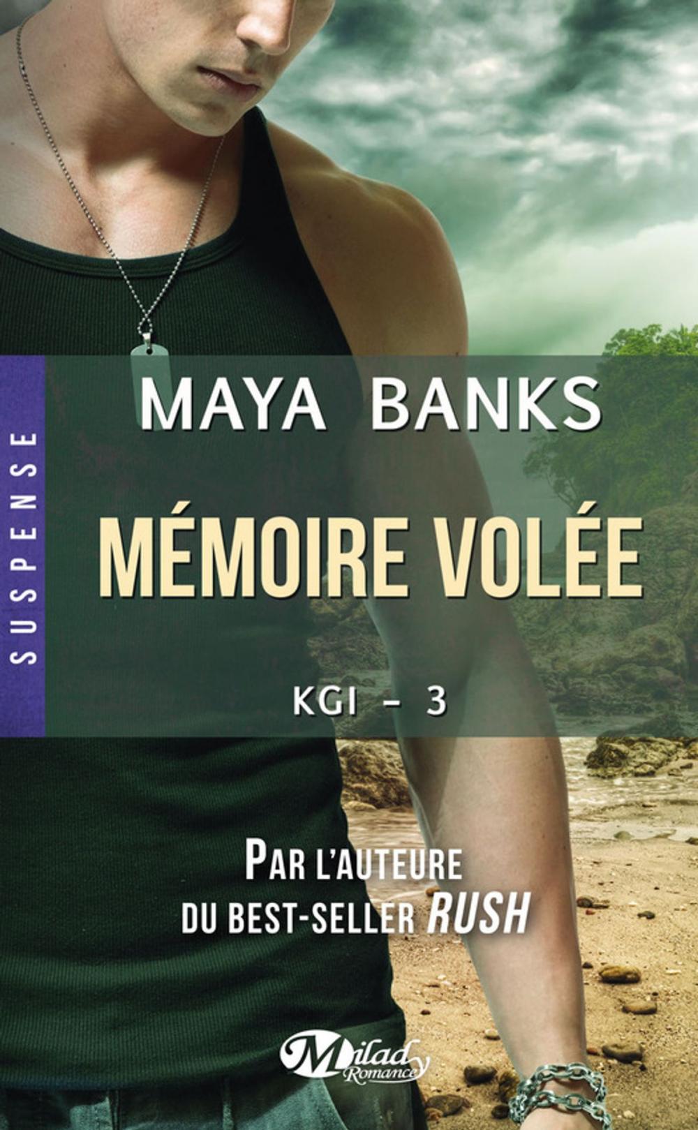 Big bigCover of Mémoire volée