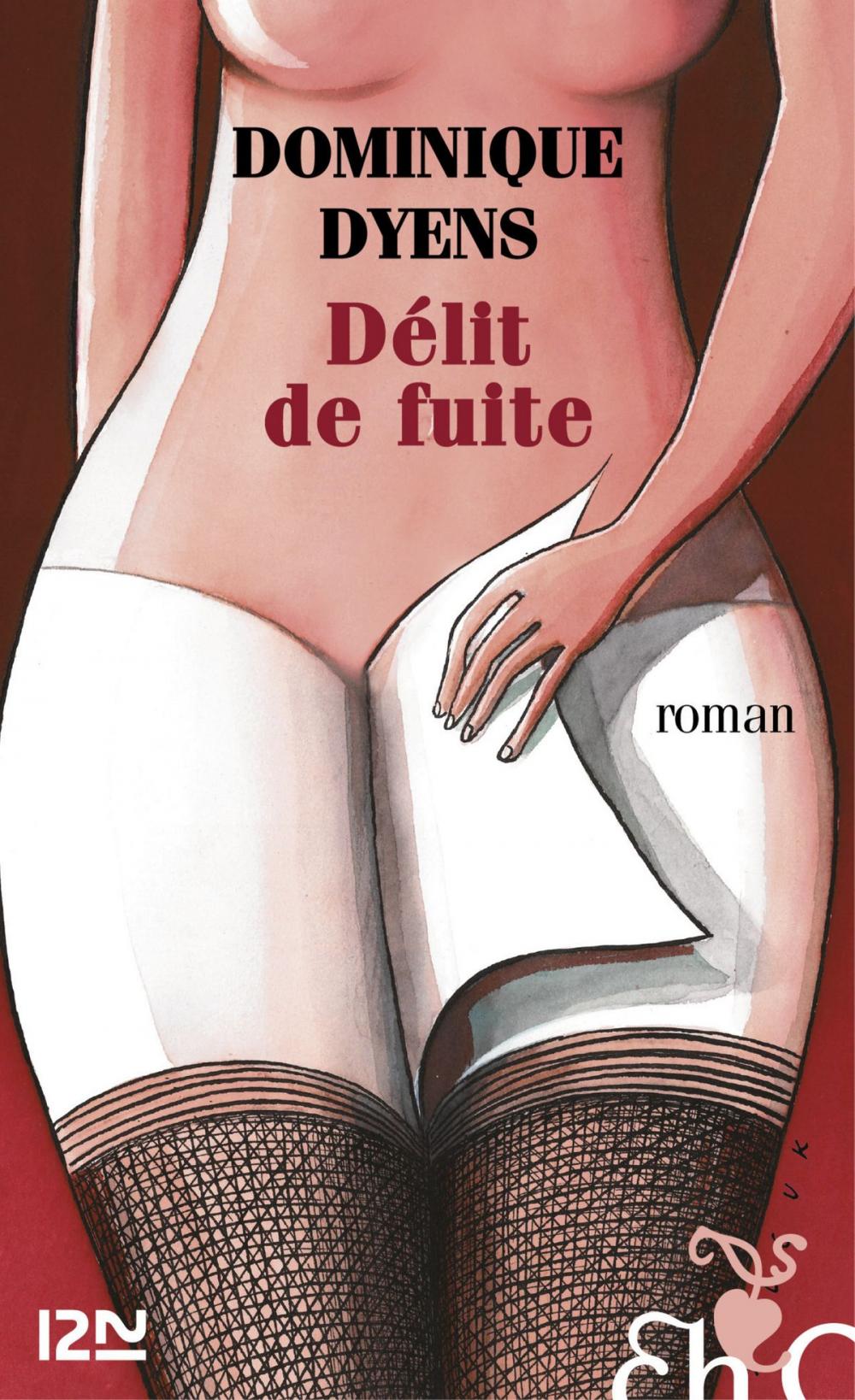 Big bigCover of Délit de fuite