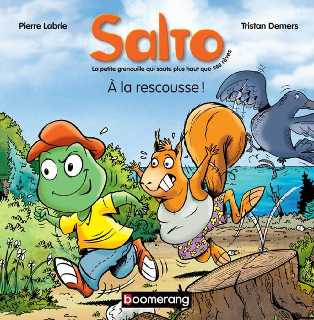 Big bigCover of Salto 3 - À la rescousse !