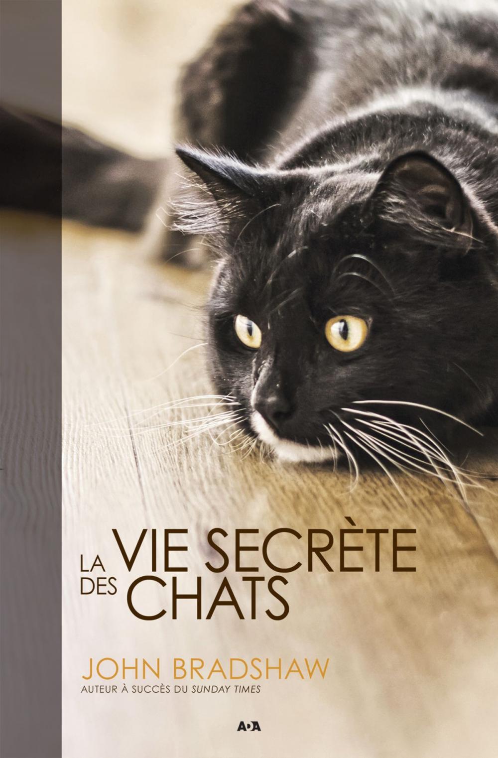 Big bigCover of La vie secrète des chats