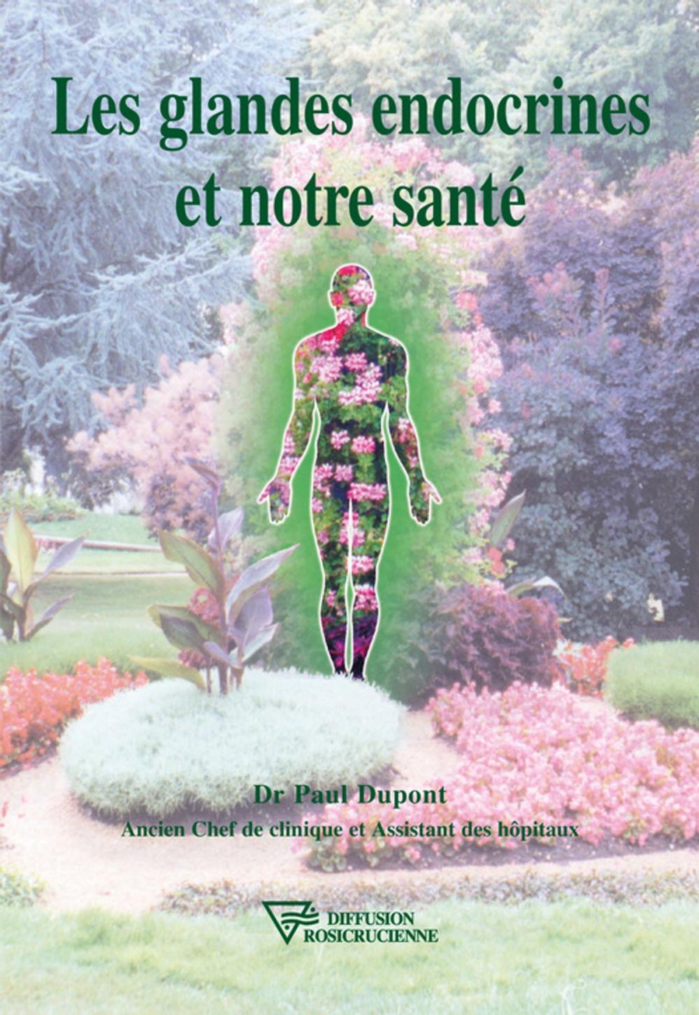 Big bigCover of Les glandes endocrines et notre santé