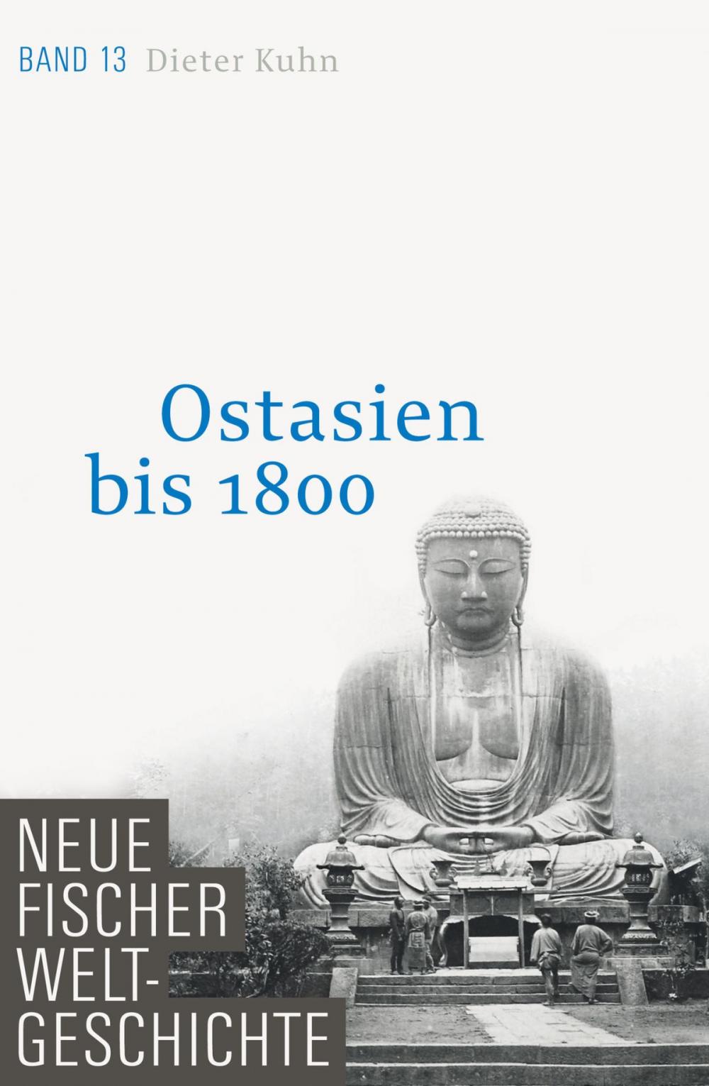 Big bigCover of Neue Fischer Weltgeschichte. Band 13