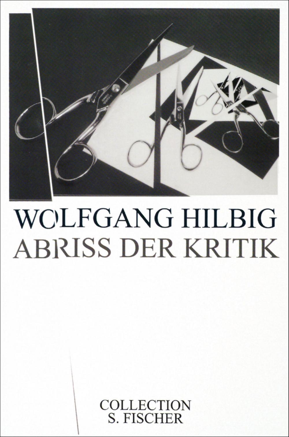 Big bigCover of Abriss der Kritik