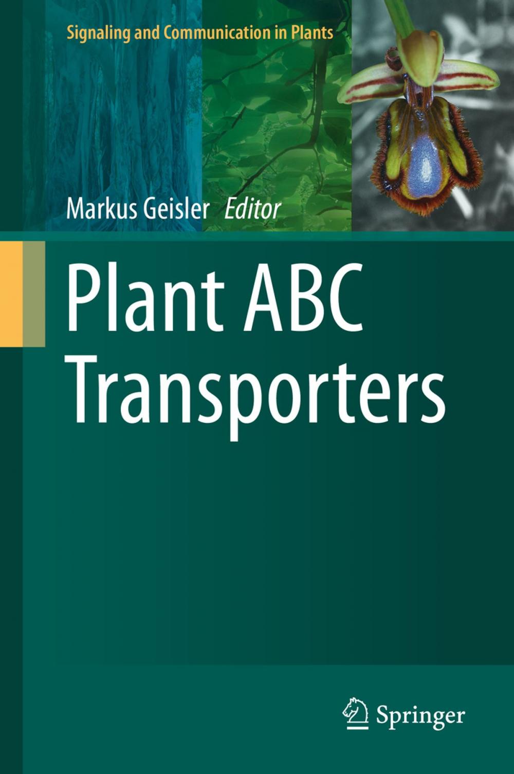 Big bigCover of Plant ABC Transporters