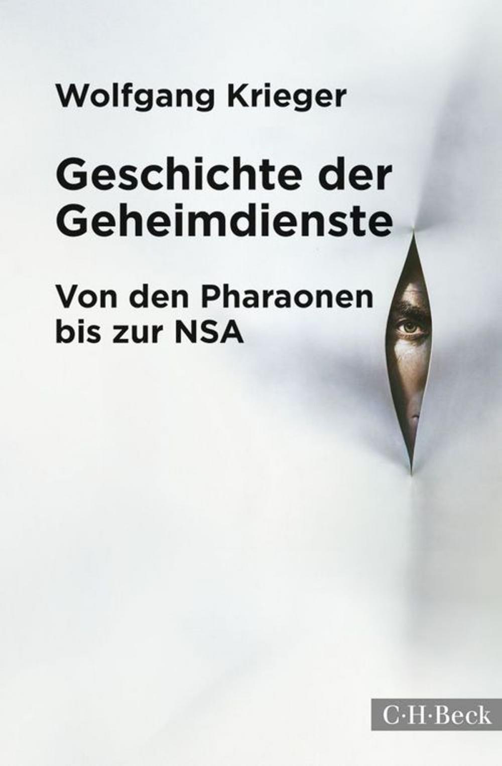 Big bigCover of Geschichte der Geheimdienste