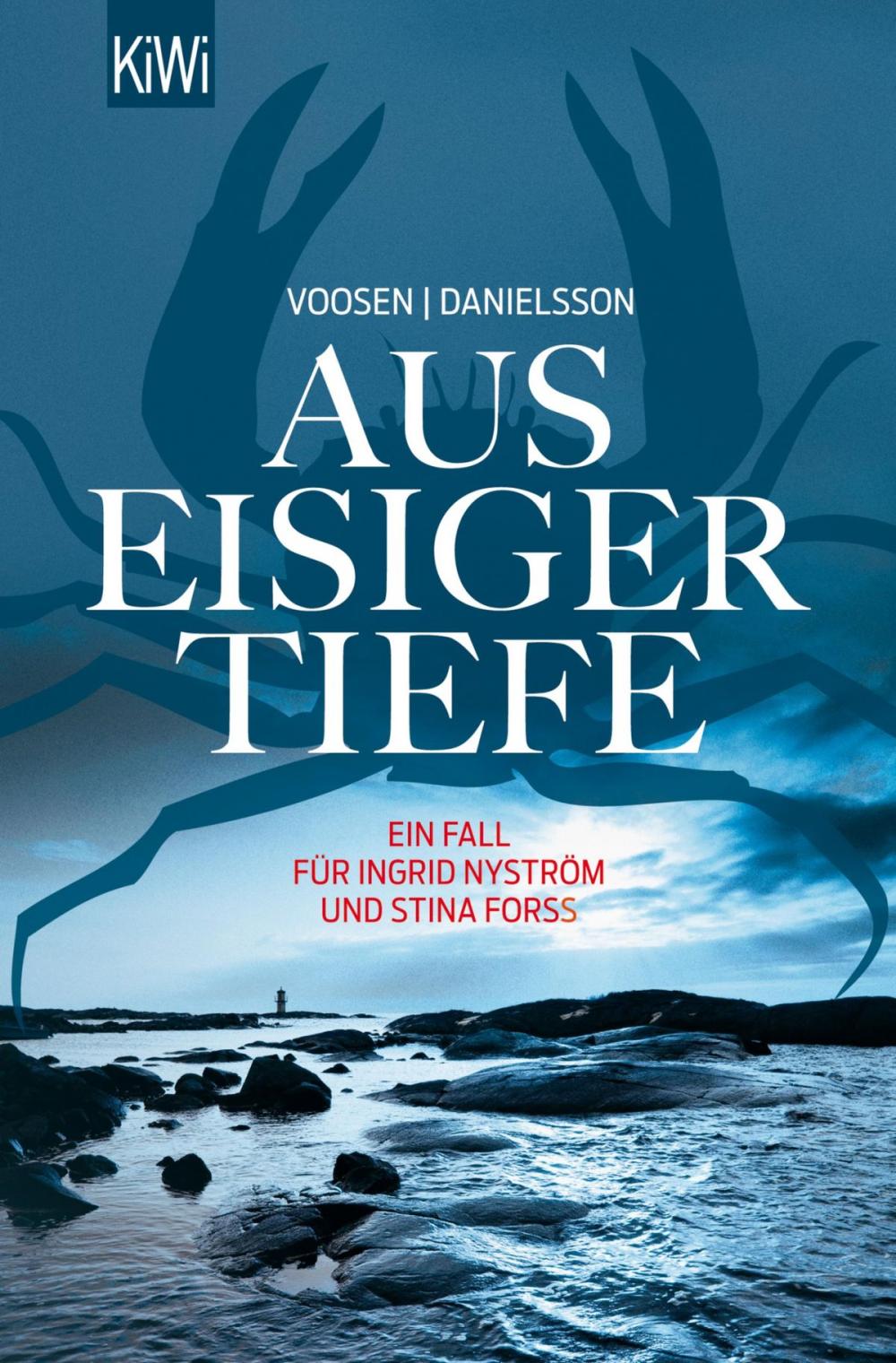 Big bigCover of Aus eisiger Tiefe