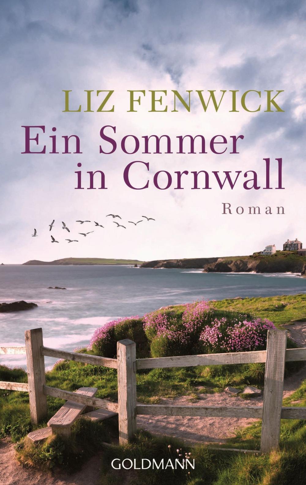 Big bigCover of Ein Sommer in Cornwall