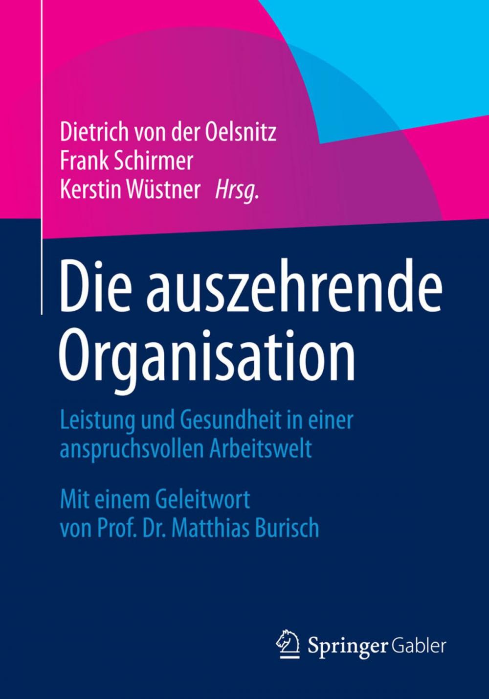 Big bigCover of Die auszehrende Organisation