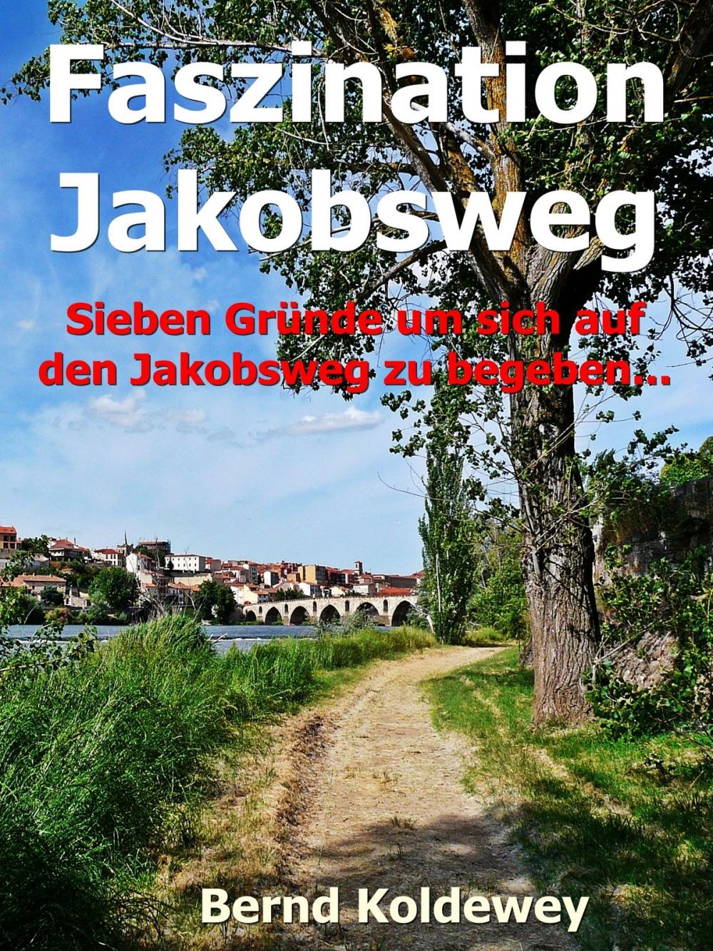 Big bigCover of Faszination Jakobsweg