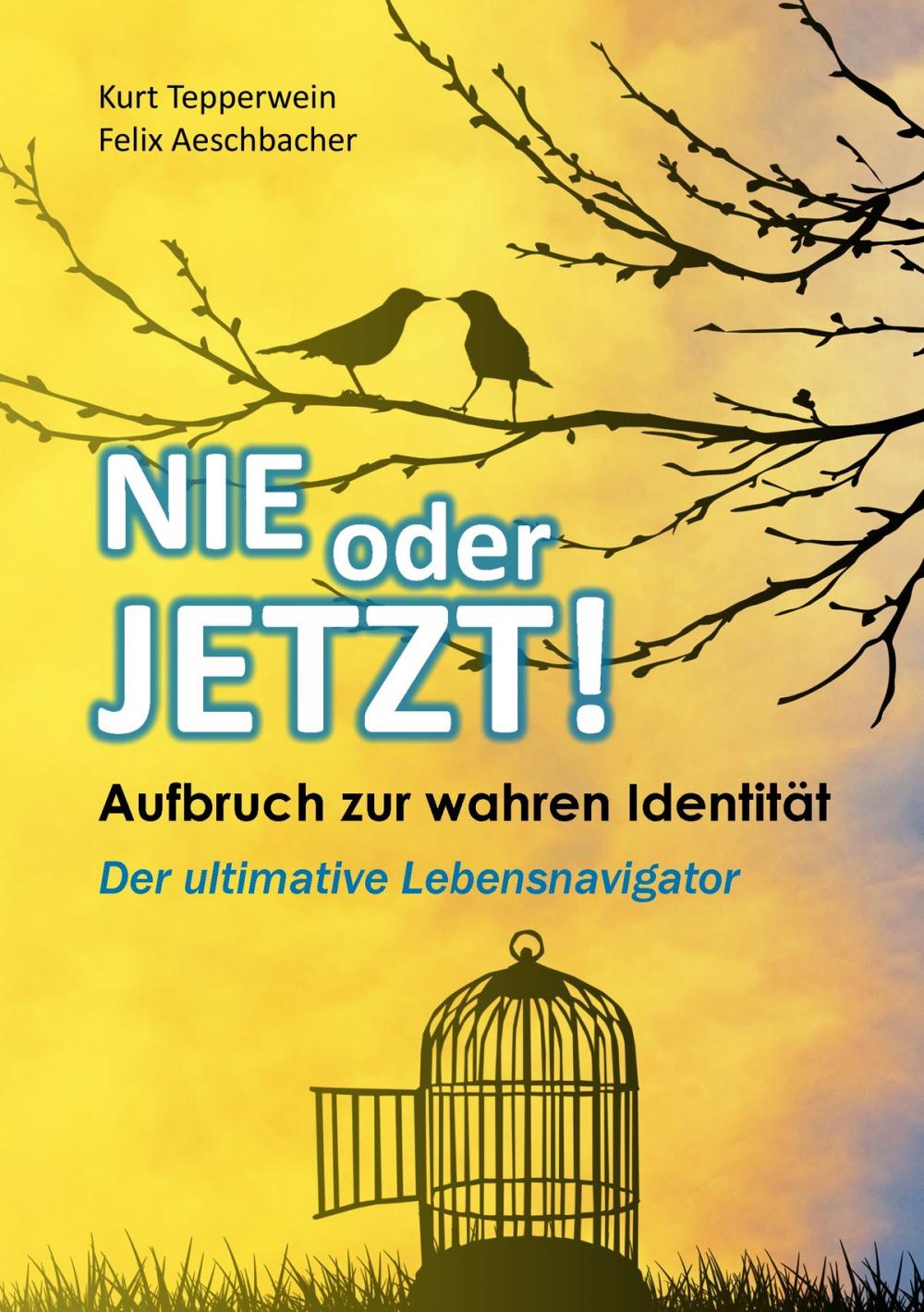 Big bigCover of Nie oder Jetzt! Aufbruch zur wahren Identität