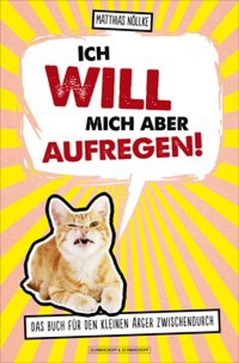 Big bigCover of Ich will mich aber aufregen!