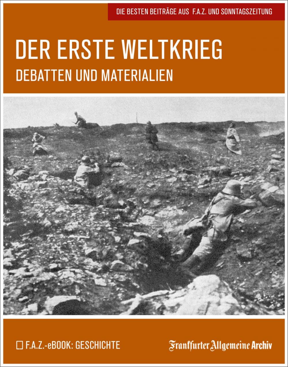 Big bigCover of Der Erste Weltkrieg