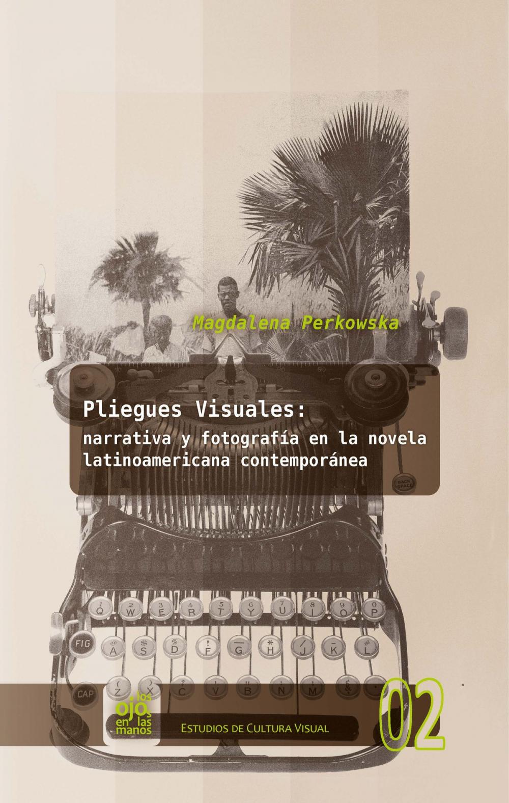 Big bigCover of Pliegues visuales: narrativa y fotografía en la novela latinoamericana contemporánea