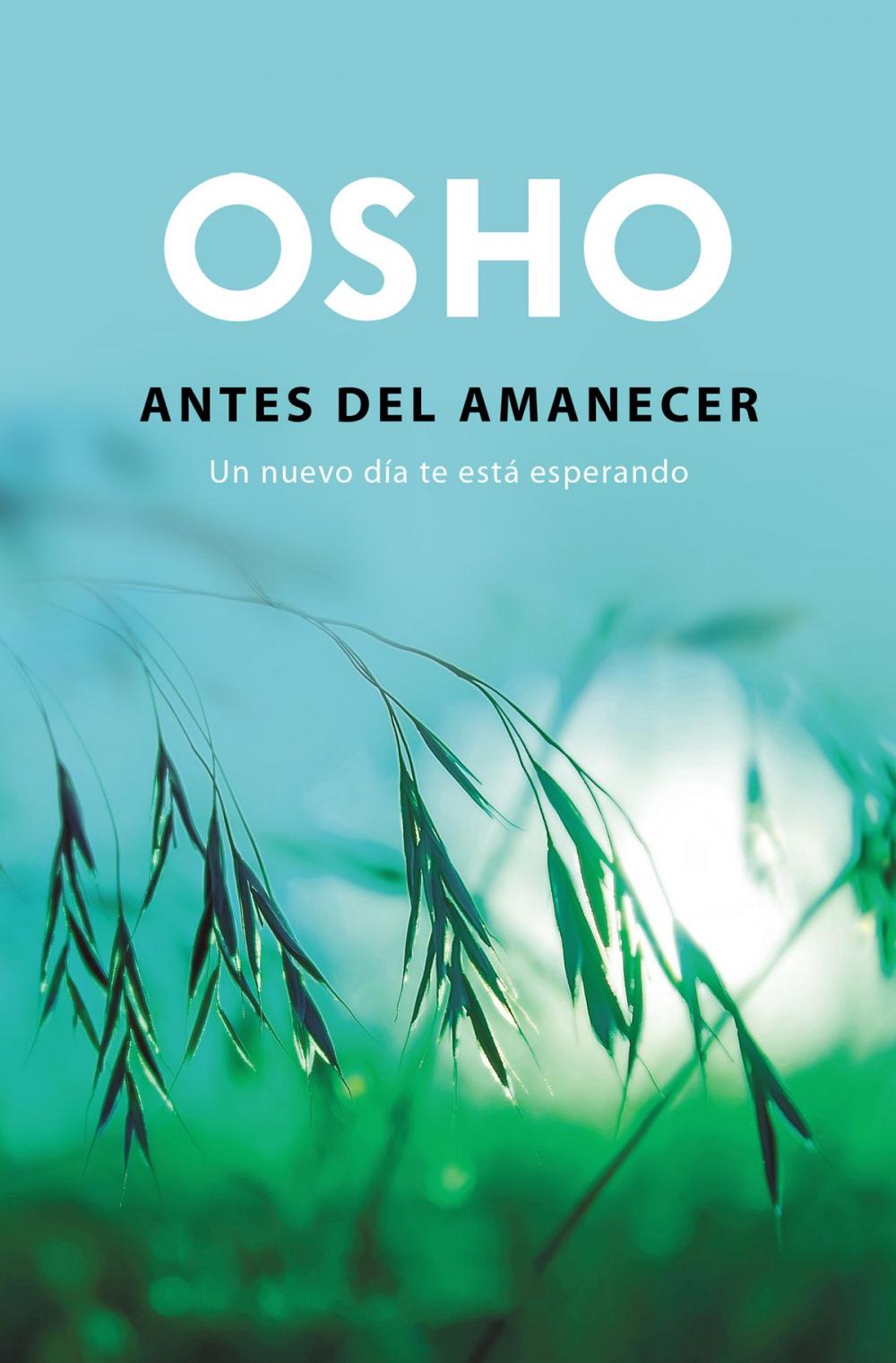 Big bigCover of Antes del amanecer (OSHO habla de tú a tú)