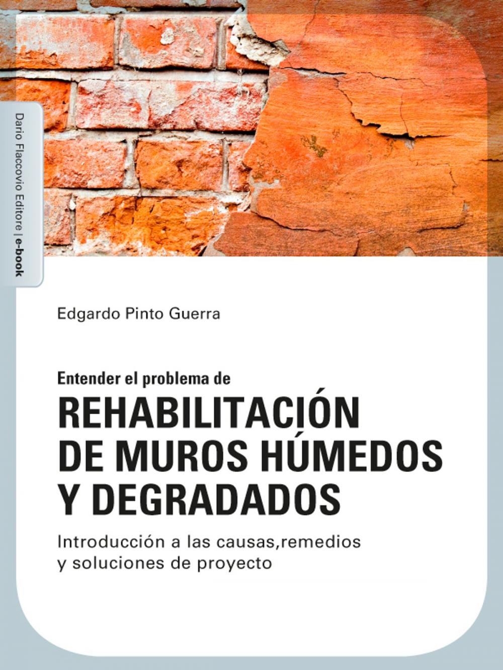 Big bigCover of Rehabilitación de muros húmedos y degradados