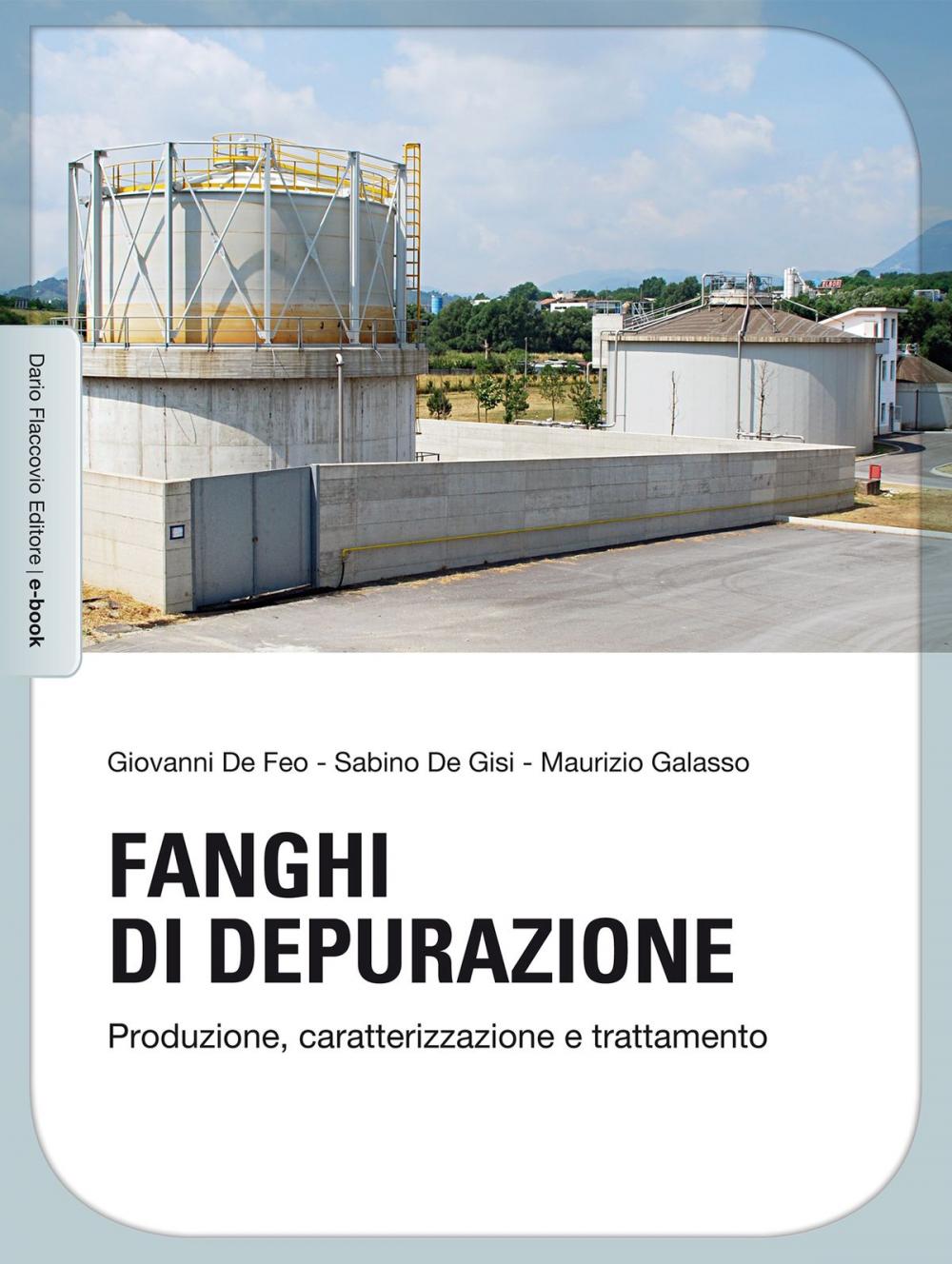 Big bigCover of Fanghi di depurazione