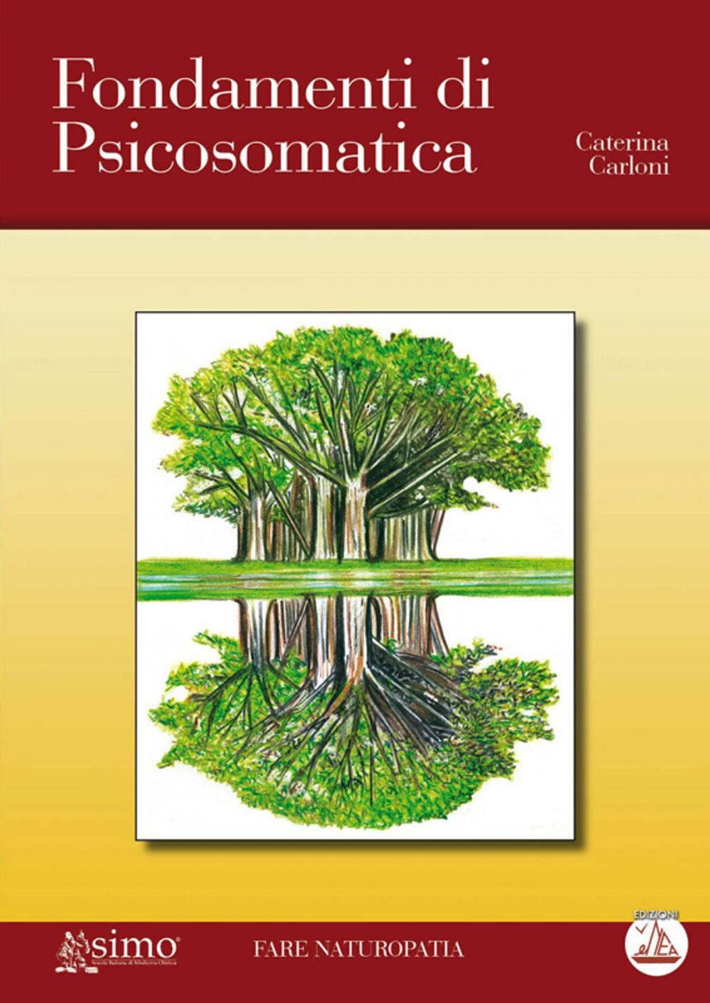 Big bigCover of Fondamenti di psicosomatica