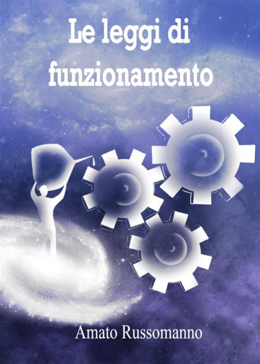 Big bigCover of Le leggi di funzionamento