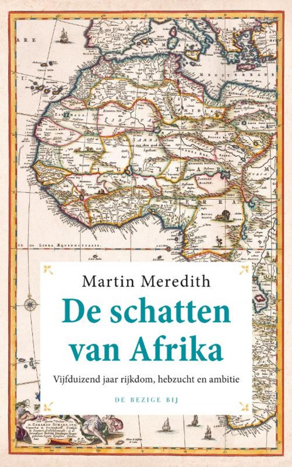 Big bigCover of De schatten van Afrika