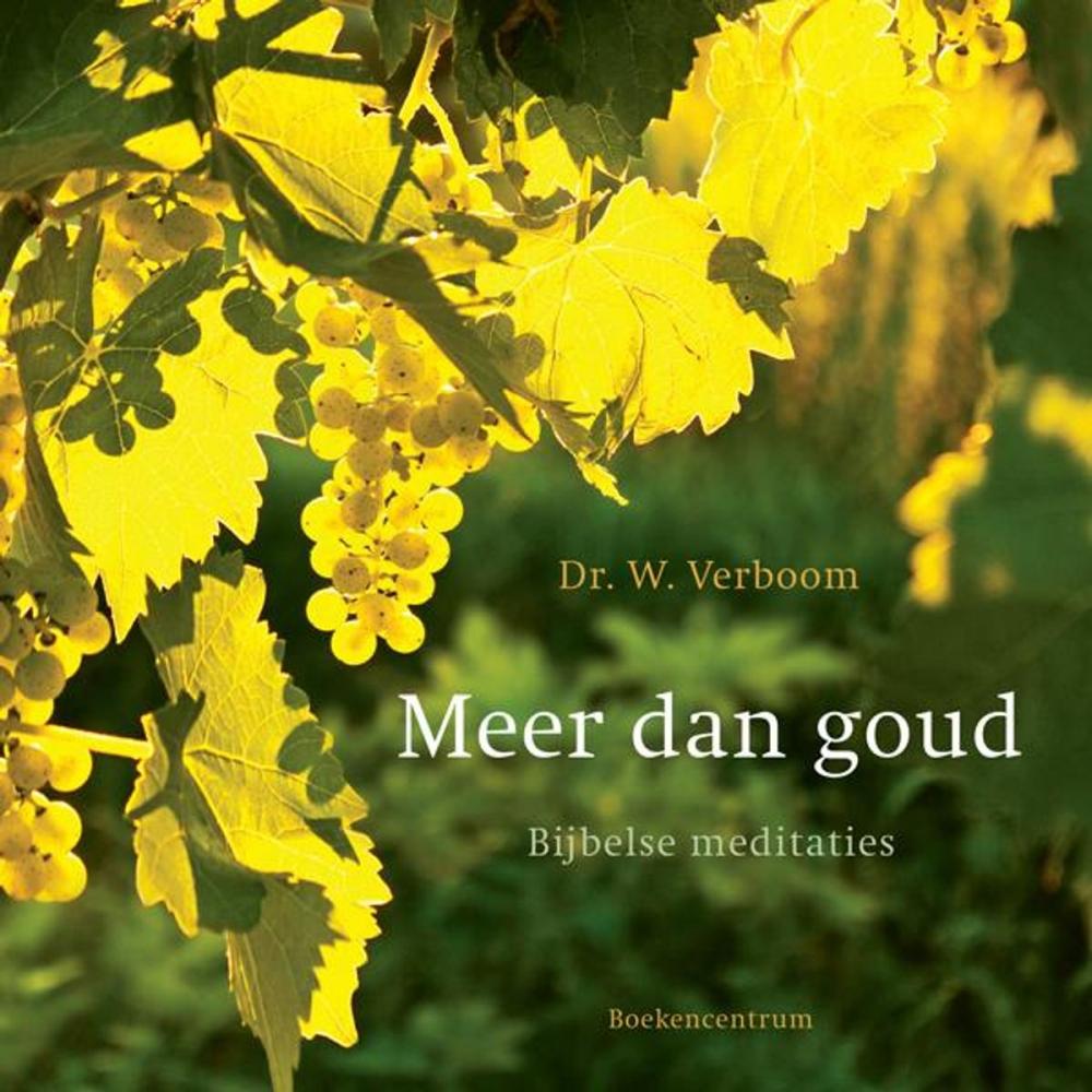 Big bigCover of Meer dan goud