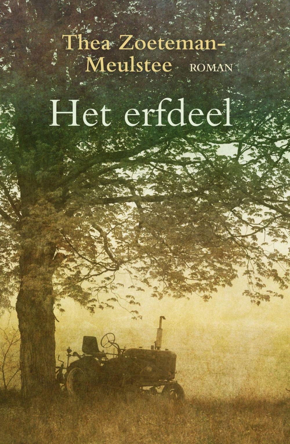 Big bigCover of Het erfdeel