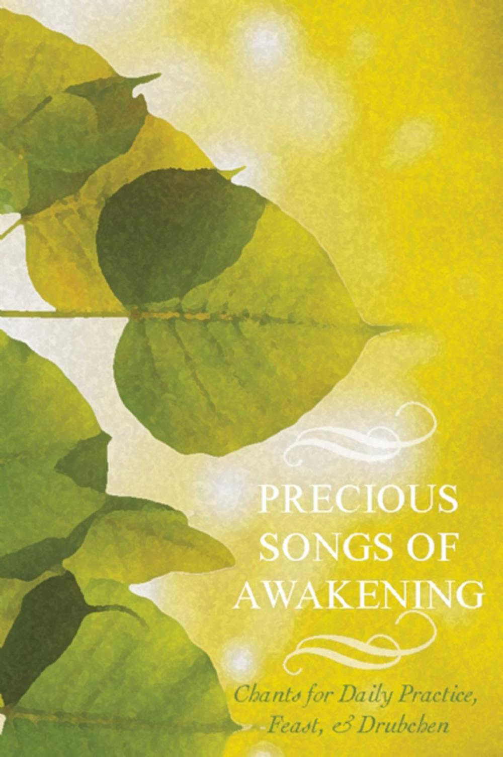 Big bigCover of Precious Songs of Awakening