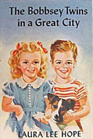 Cover of the book The Bobbsey Twins in a Great City by Dorothy Wayne