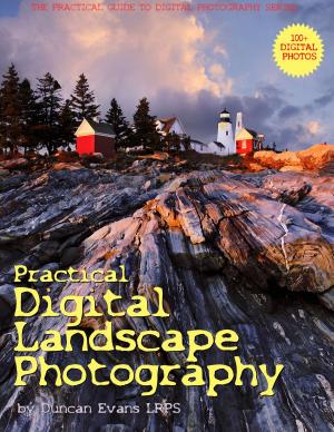 Cover of the book Practical Digital Landscape Photography by Janelle Wilson