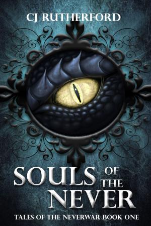 Cover of the book Souls of the Never by Reyna Pryde