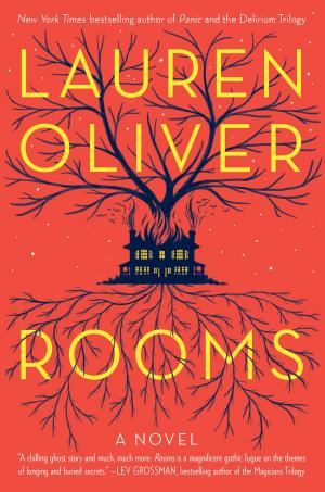 Cover of the book Rooms by Dewey Bozella