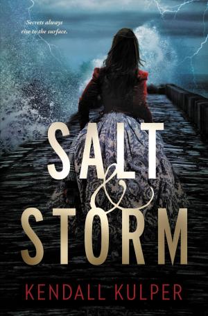 Cover of the book Salt &amp; Storm by Megan McCafferty