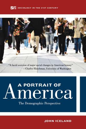 Cover of the book A Portrait of America by Stephanie H. Jed
